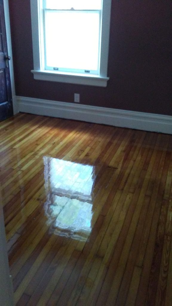 Waterlox floor finish